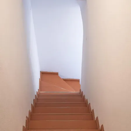 Elithas & Budget Mandrákion