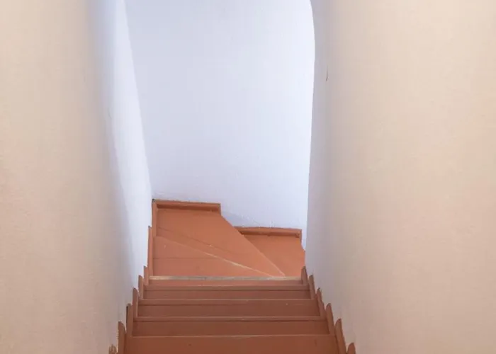 Elithas & Budget Mandrákion